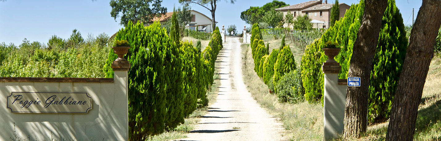 Cortona